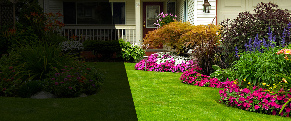 Forestdale Landscapers