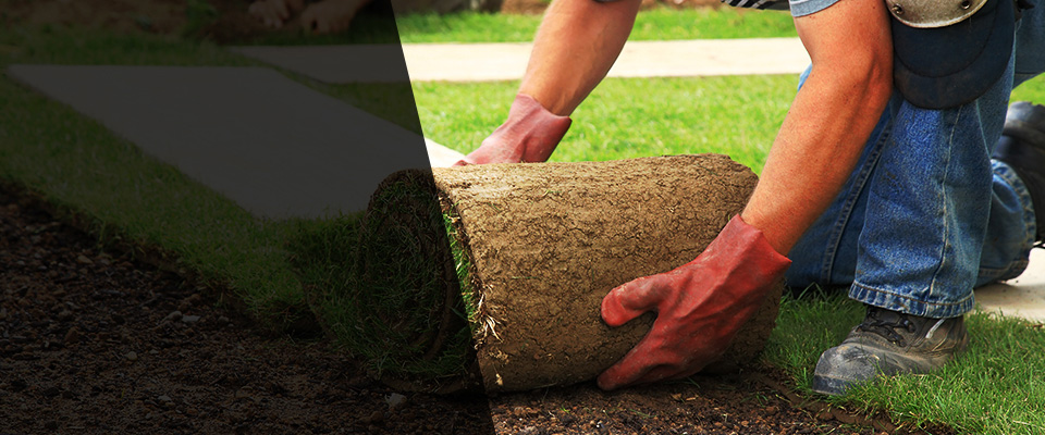 Forestdale Landscapers